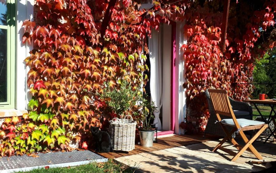 Apartmany Ruprechtov Hroznetin Buitenkant foto